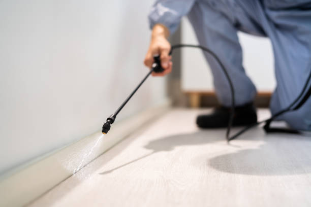 Licensed Pest Control service in Reidsville, NC - Show Me Pest Control