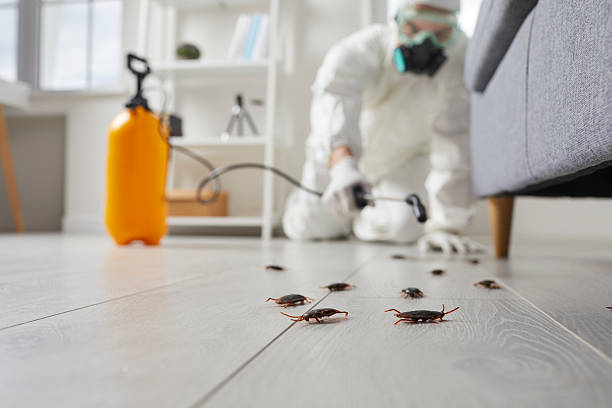 Post-Treatment Bed Bug Interceptor Monitoring in Reidsville