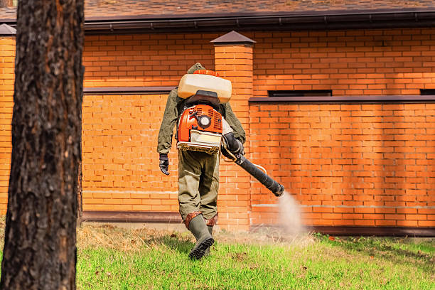 Bed Bug Clearance Verification and Documentation in Reidsville